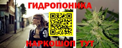 дмт Камышлов